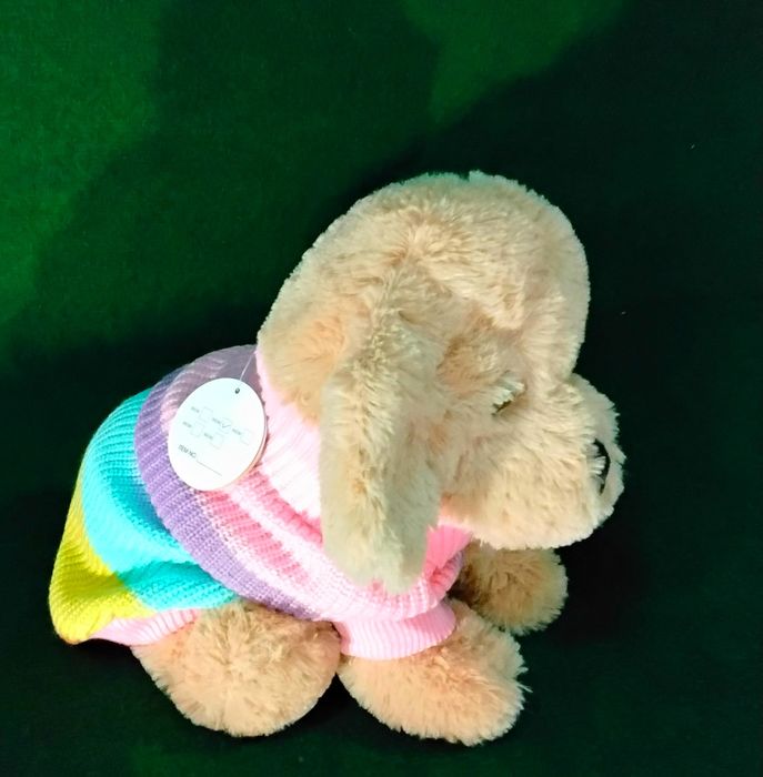 Hăinuțe căței talie mică, medie pentru vreme rece NOI - 60 Lei