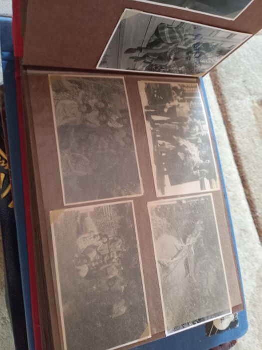 Albume și cărți postale