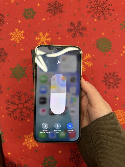 iphone 12 pro max 256