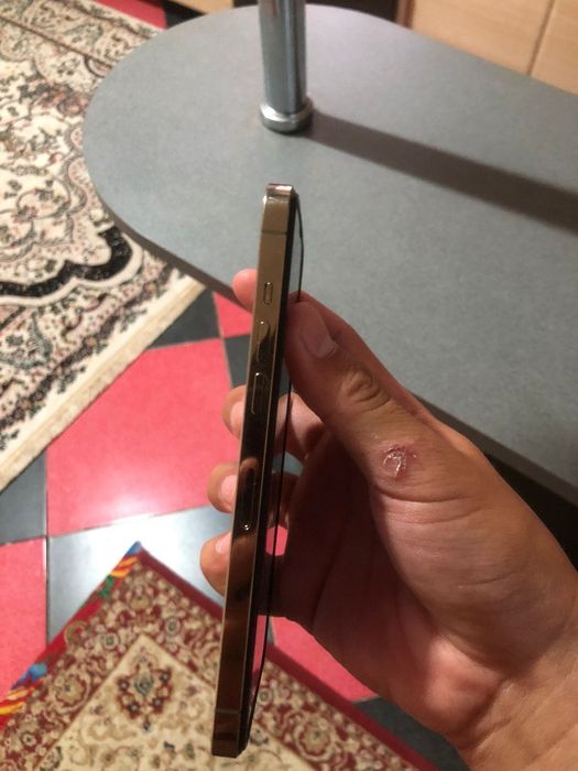 iPhone 12 pro max