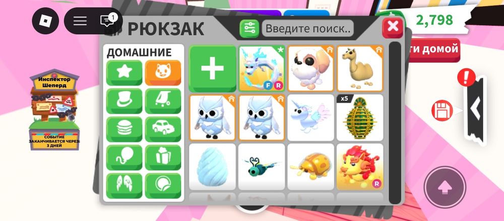 Продам петов в адопт