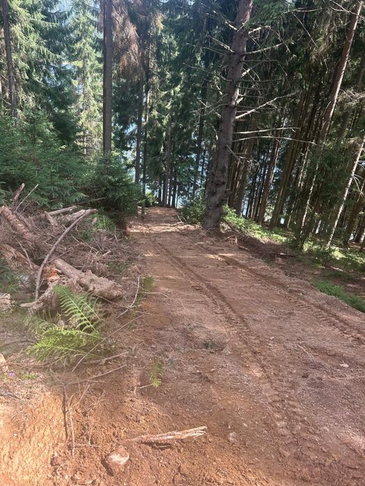 Teren Beliș cu iesire la lac + ponton+ căsuță mobilă+ curent electric