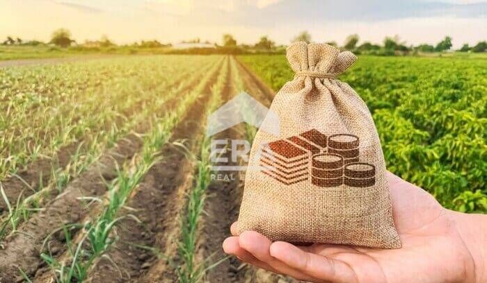 Земеделска земя в землището на гр. Хасково