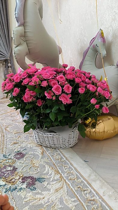 Кустовые Розы Сатылады