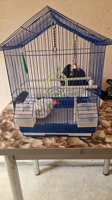Клетка для попугая
