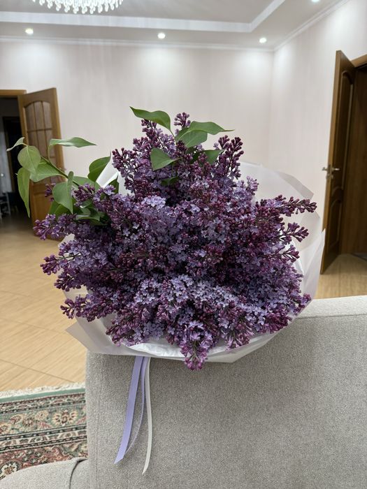 Букеты сирени на срез