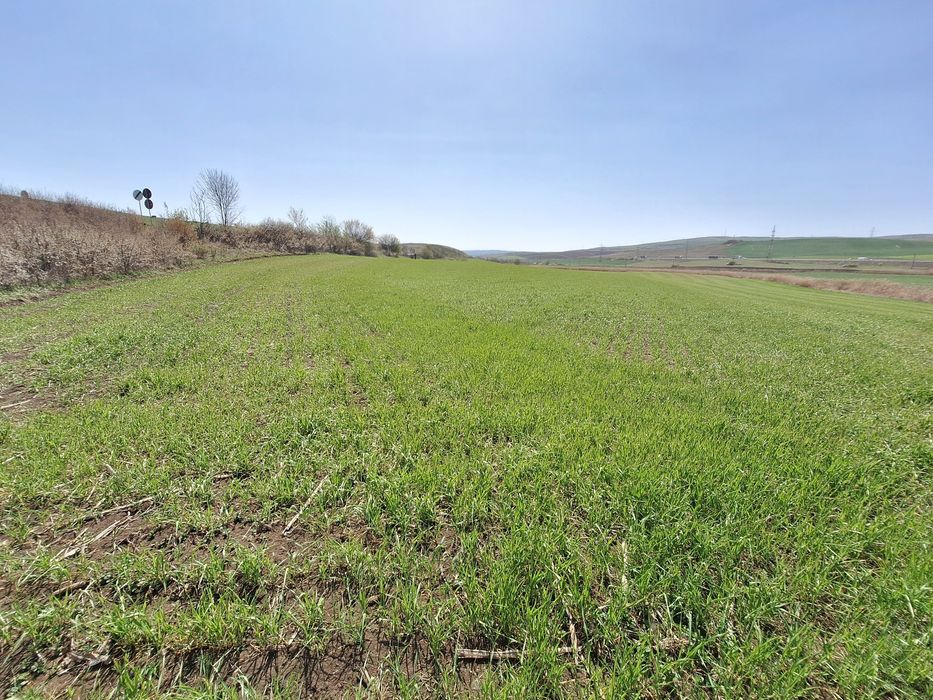 Teren investiții deschidere E81- 500m