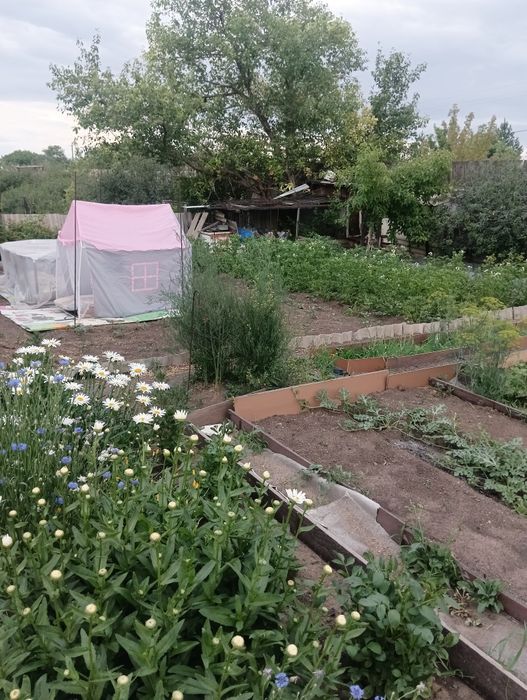 Продам дачу на машиностроителей