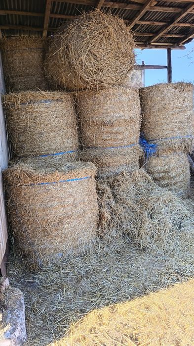 Vand baloti de lucerna