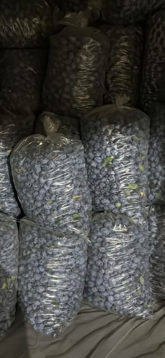 Prune pentru țuică