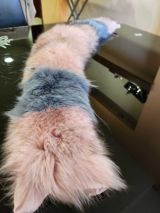 Дамска яка от естествен косъм