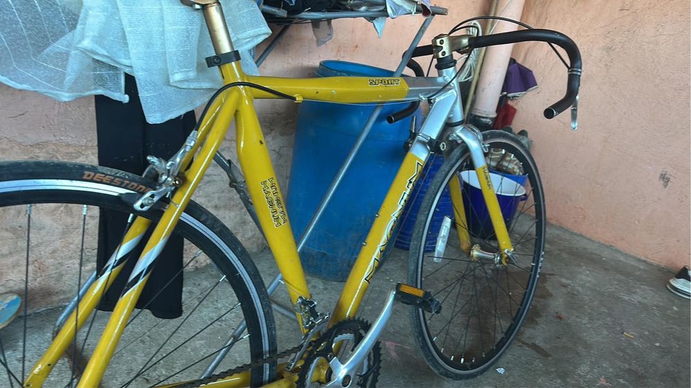Vand cursiera magnum shimano