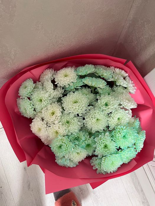 Срочно продам харизантемы