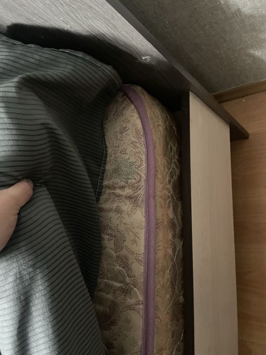 Отдам даром крововать двухспалка