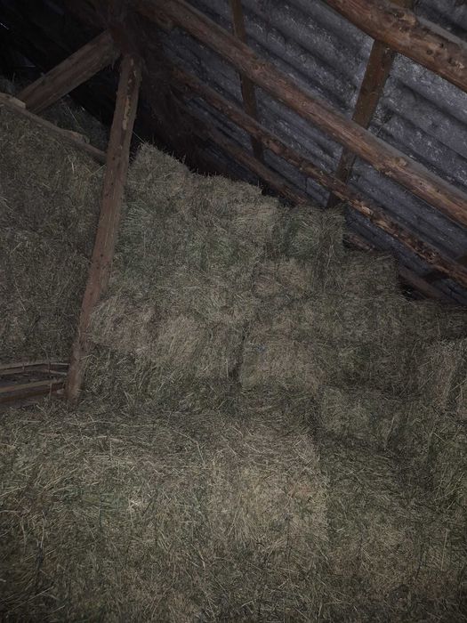 Vand baloti lucerna si fan