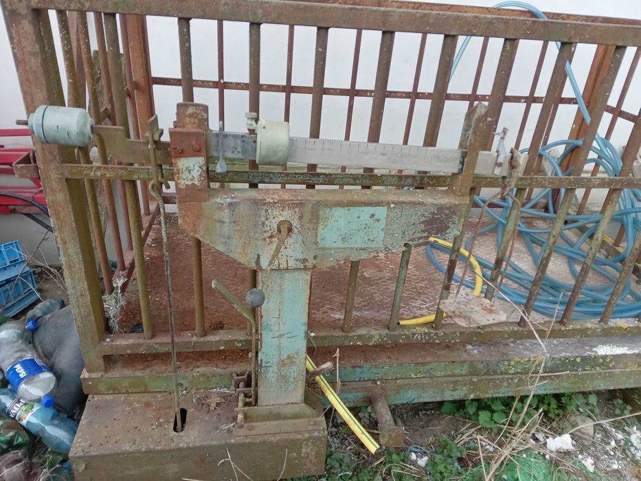 Cantar pentru animale