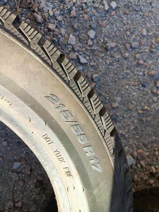 Зимние 255/55/R17