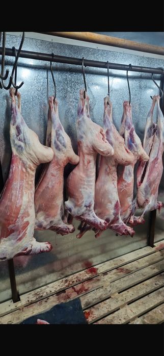 Продам мясо баранины тушами