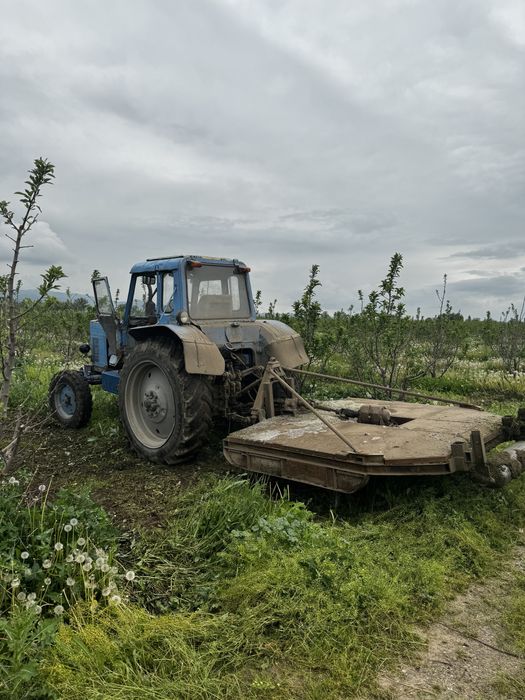 Яблоневый сад (apple garden)