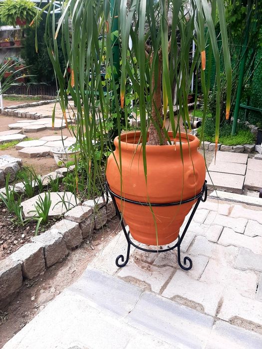 Глинени делви и саксии