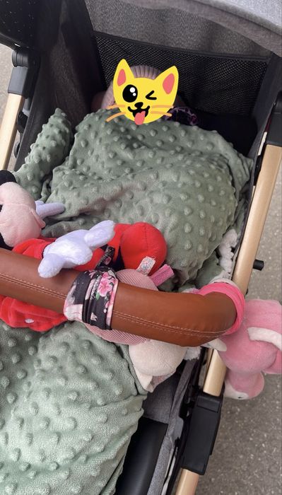 Carut tip troller pliabil pentru avion Momi