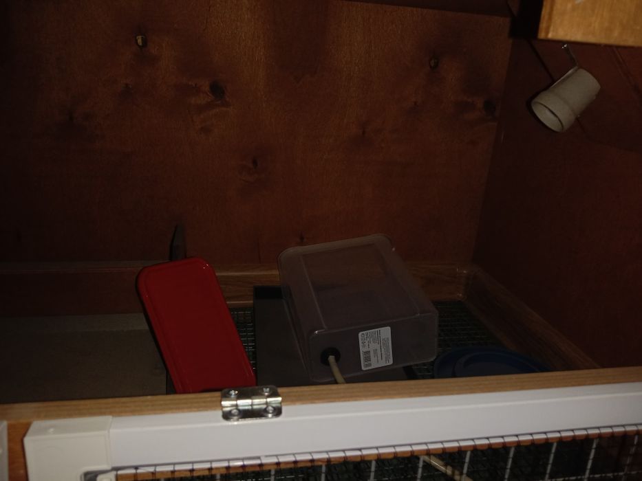 Брудер для цыплят