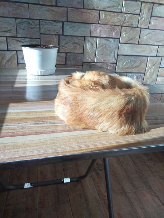 Дамска кожена шапка /калпак/ и кожена яка и двете са от лисица.