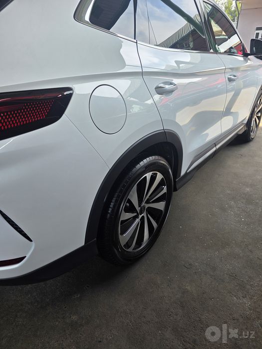 BYD - 2024 Full позиция.