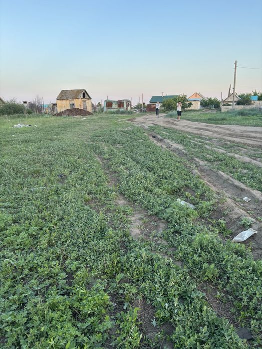 Дачный участок (земля)