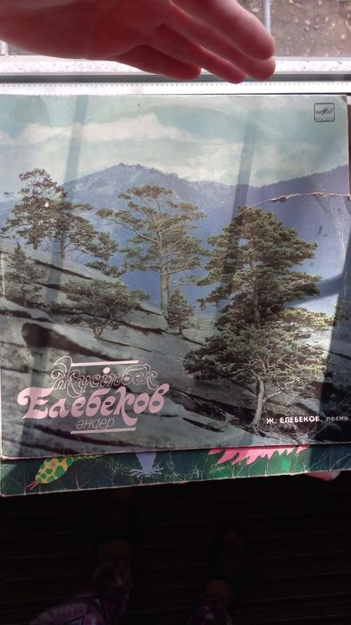 Виниловые пластинки