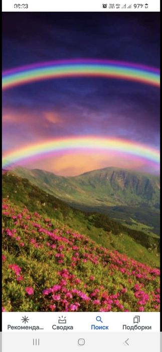 Стрижка ,кронирование изгороди,обрезка