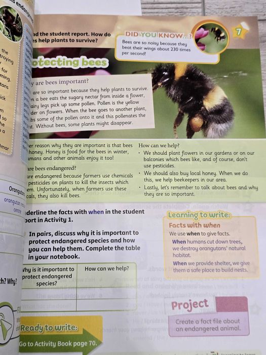 Manual + Auxiliar lb. Engleză: Kid's Box 5 New Generation