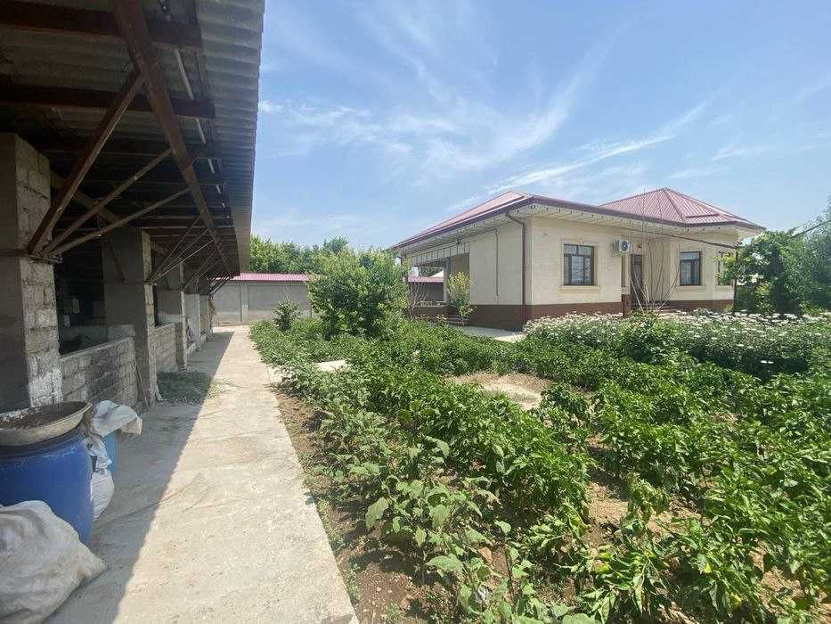 Участок с фермой и домом на 36 сотках Уртачирчик