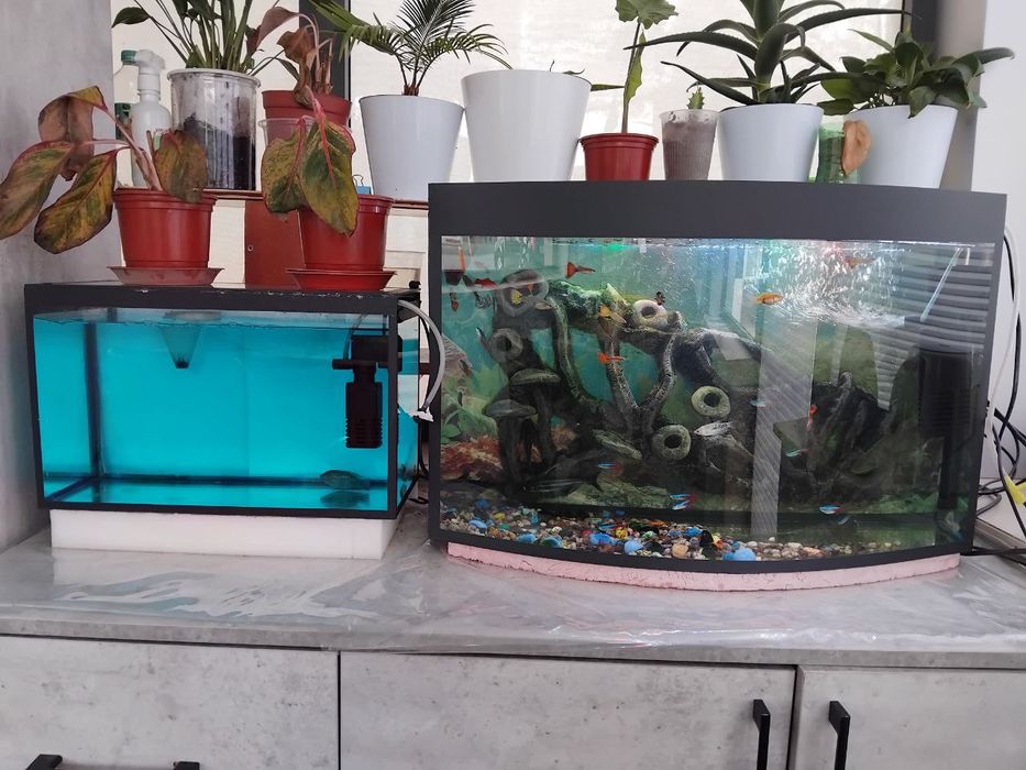 Продам два аквариума