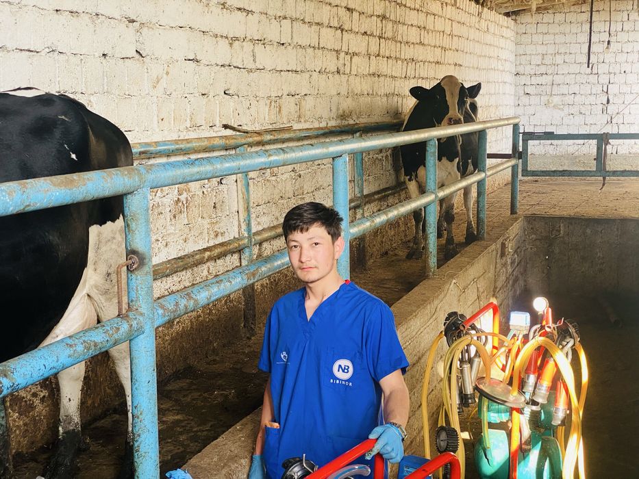 Veterinariya xizmati 24/7 xizmatda