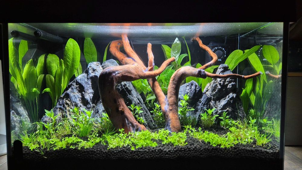 Acvariu Aquael Leddy 40 - 25 litri + accesorii si decor