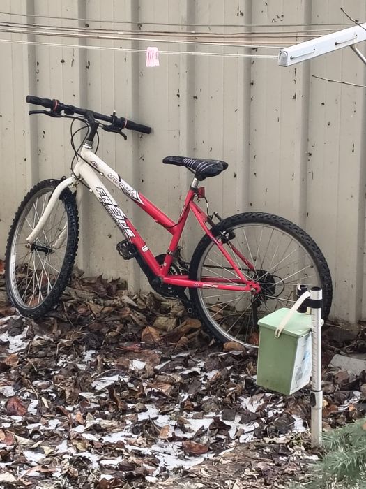 Bicicleta pentru copii