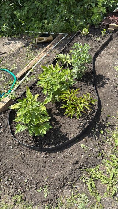 Продам дачу д/о Каштан