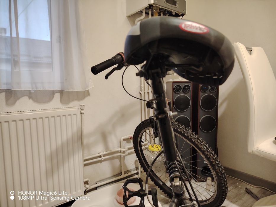 Bicicleta adulti