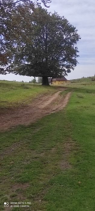 Teren munte Bumbesti Jiu