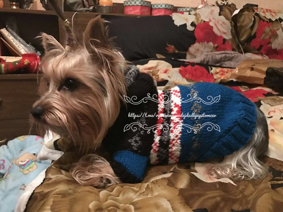 Одежда для собак и кошек