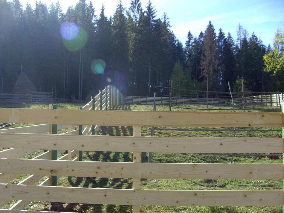 Vând 1000mp teren intravilan Lunca Ilvei Bistrita Nasaud