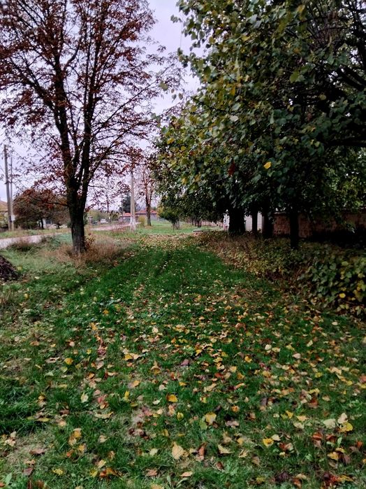 Голям двор с 3 отделни постройки