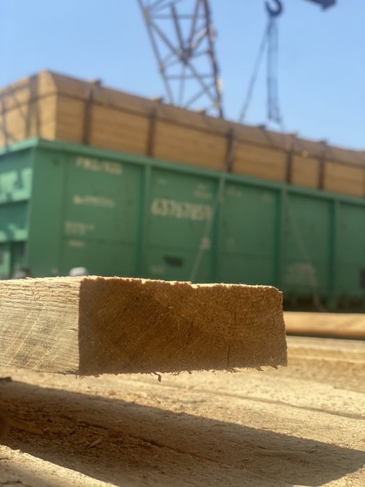 Taxta sosna оптом ва донага