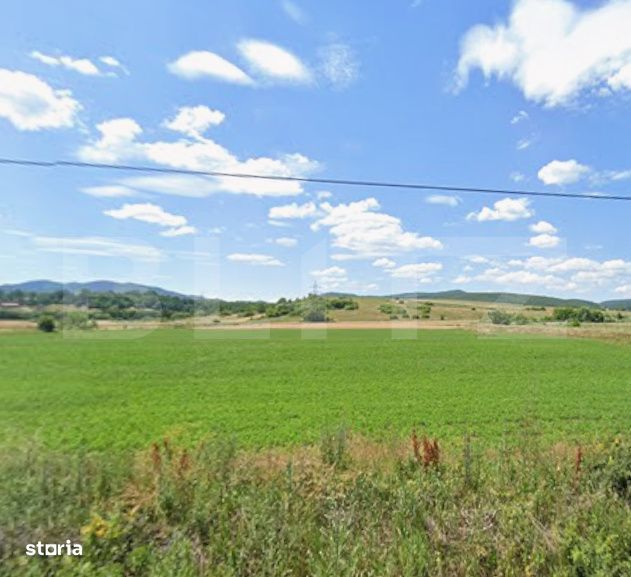 Teren agricol de vanzare, 10700 mp, zona Maierus