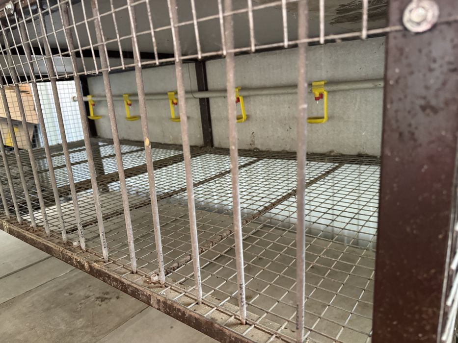 Клетки две штуки для птицы или кроликов