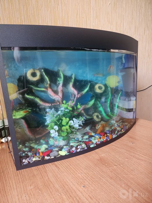 Avarium 35 litr kotta