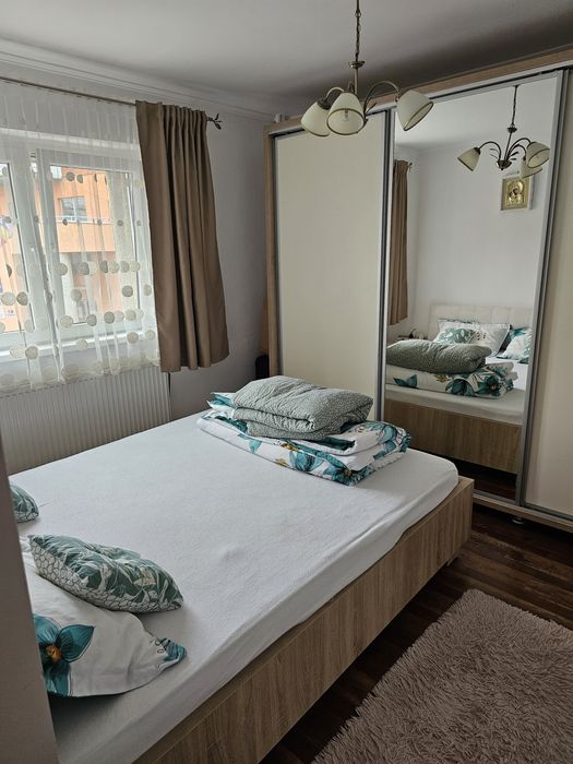 Apartament malul Mureșului Micălaca