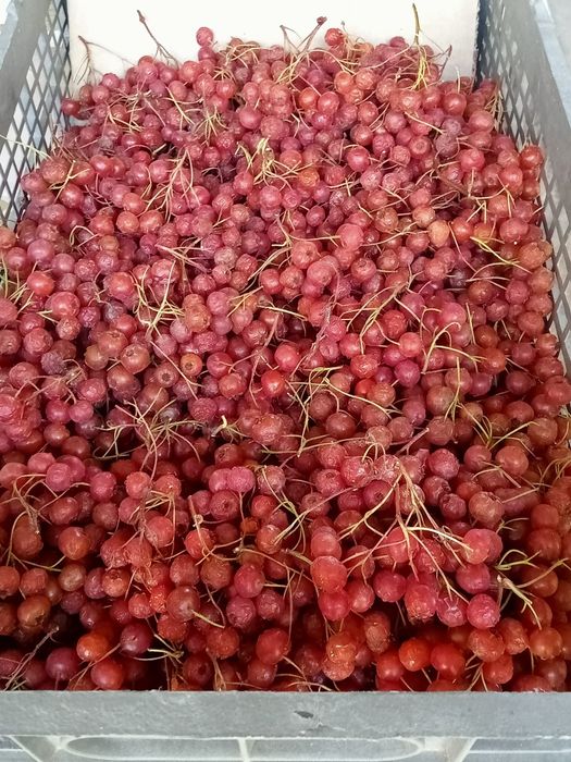 Продам всё что есть на фото