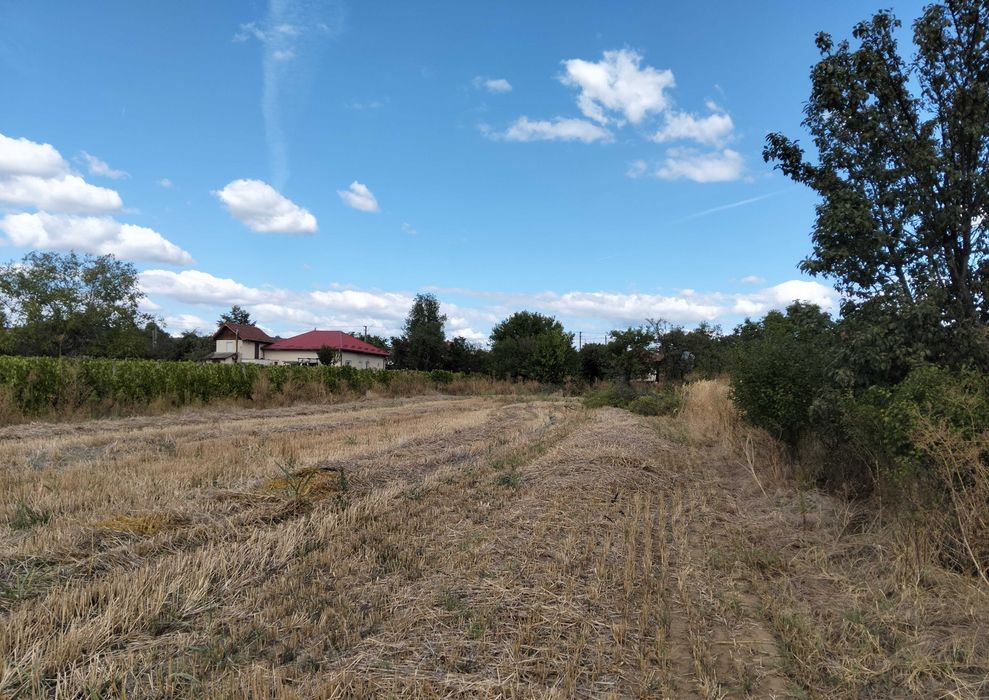 7089mp intravilan la DN1B, cu deschidere 17,54m, Valea Calugareasca